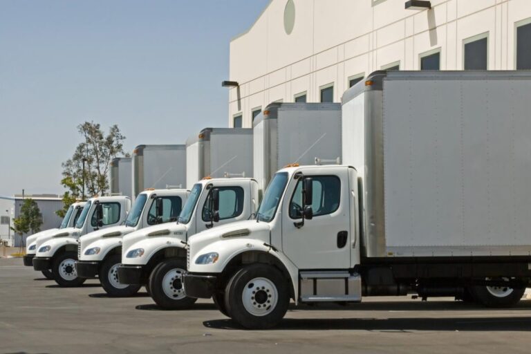 International moving company fleet logistics